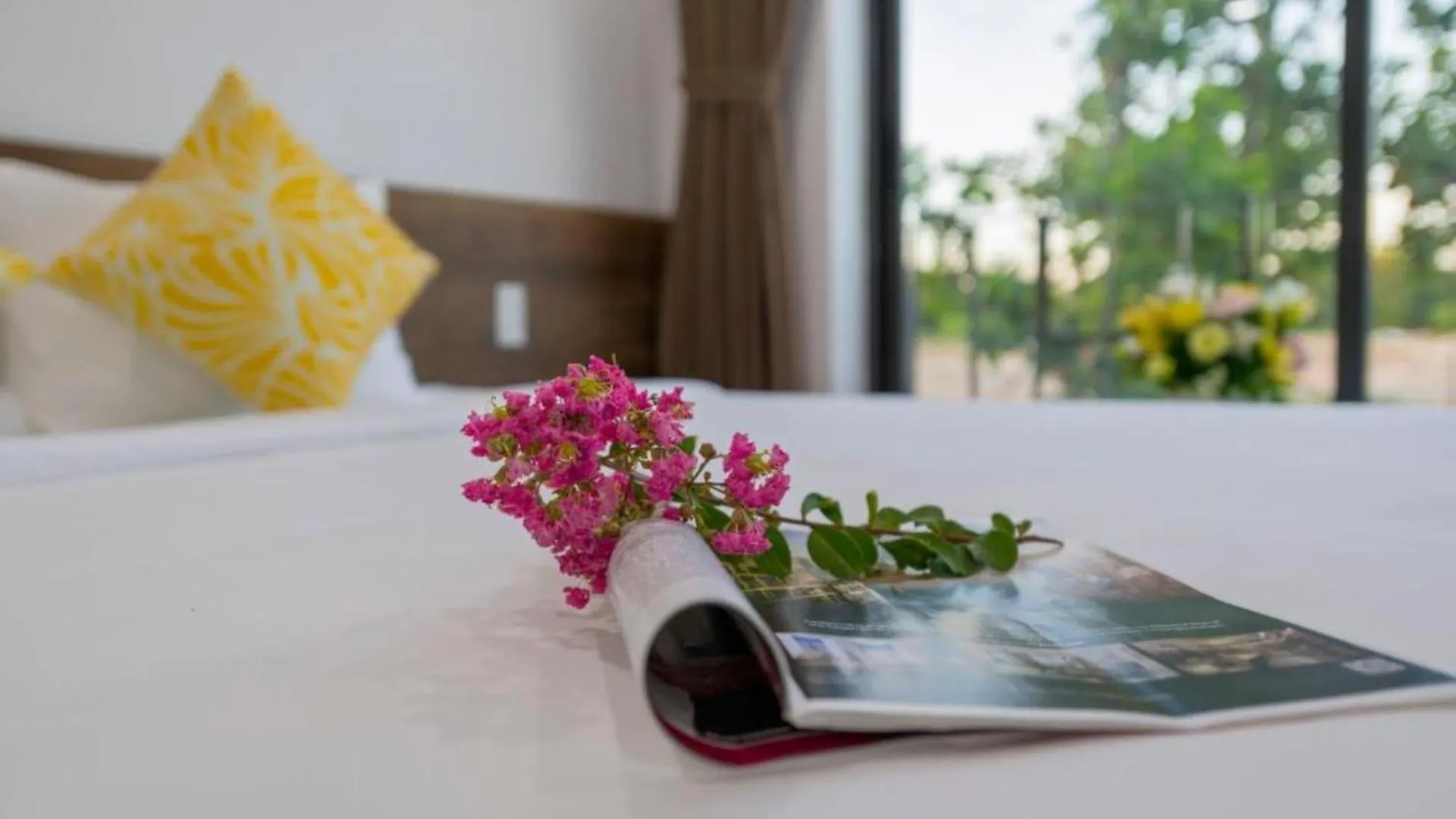 Lena House Hoi An Hotel Vietnam